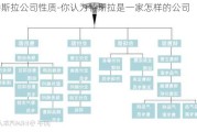 特斯拉公司性质-你认为特斯拉是一家怎样的公司