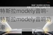 特斯拉modely音响-特斯拉modely音响功率