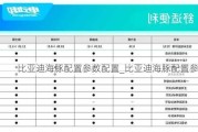 比亚迪海豚配置参数配置_比亚迪海豚配置参数