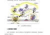 汽车制动原理与故障处理-汽车制动原理与故障处理论文