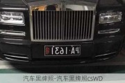 汽车黑牌照-汽车黑牌照csWD