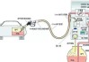 汽车回油管放油原理是什么-汽车回油管的作用