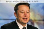 特斯拉ceo是做什么的-特斯拉ceo是谁