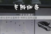 特斯拉音响设置推荐-特斯拉音响设置