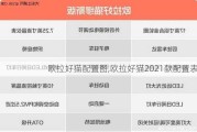 欧拉好猫配置图,欧拉好猫2021款配置表