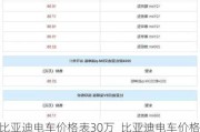 比亚迪电车价格表30万_比亚迪电车价格表30万以下