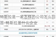 特斯拉是一家怎样的公司怎么回答-特斯拉是什么企业