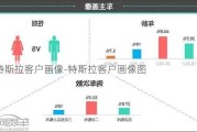 特斯拉客户画像-特斯拉客户画像图