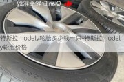 特斯拉modely轮胎多少钱一只-特斯拉modely轮胎价格