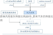 蔚来汽车股东持股比例2019_蔚来汽车的持股比例