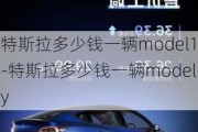 特斯拉多少钱一辆model1-特斯拉多少钱一辆modely