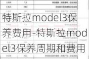 特斯拉model3保养费用-特斯拉model3保养周期和费用