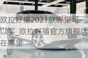 欧拉好猫2021款哪里可以买_欧拉好猫官方旗舰店在哪里