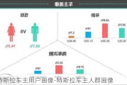 特斯拉车主用户画像-特斯拉车主人群画像