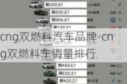 cng双燃料汽车品牌-cng双燃料车销量排行