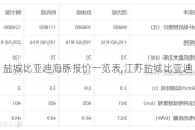 盐城比亚迪海豚报价一览表,江苏盐城比亚迪