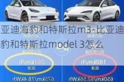 比亚迪海豹和特斯拉m3-比亚迪海豹和特斯拉model 3怎么选