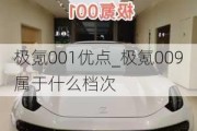 极氪001优点_极氪009属于什么档次