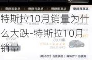 特斯拉10月销量为什么大跌-特斯拉10月销量