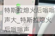 特斯拉熄火后嗡嗡声大_特斯拉熄火后嗡嗡声