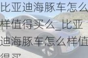 比亚迪海豚车怎么样值得买么_比亚迪海豚车怎么样值得买