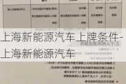 上海新能源汽车上牌条件-上海新能源汽车