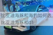 比亚迪海豚和海豹如何选,比亚迪海豚和d1