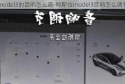 model3的音响怎么调-特斯拉model3音响怎么调节