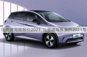 比亚迪海豚报价2023_比亚迪海豚报价2023款