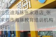 比亚迪海豚张家港店_张家港市海豚教育培训机构好吗