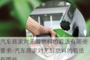 汽车商家对无醇燃料的看法有哪些要求-汽车商家对无醇燃料的看法有哪些