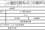 小鹏p7指导价_小鹏P7指导价多少钱