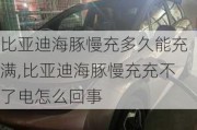 比亚迪海豚慢充多久能充满,比亚迪海豚慢充充不了电怎么回事