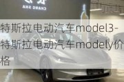 特斯拉电动汽车model3-特斯拉电动汽车modely价格