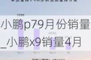 小鹏p79月份销量_小鹏x9销量4月