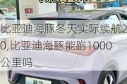 比亚迪海豚冬天实际续航200,比亚迪海豚能跑1000公里吗