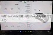 特斯拉modelY能耗-特斯拉modely能耗高怎么办