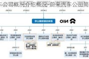 蔚来汽车公司概况介绍概况-蔚来汽车公司简介