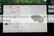 特斯拉哨兵模式无法打开-特斯拉哨兵模式无法打开手机