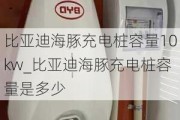 比亚迪海豚充电桩容量10kw_比亚迪海豚充电桩容量是多少