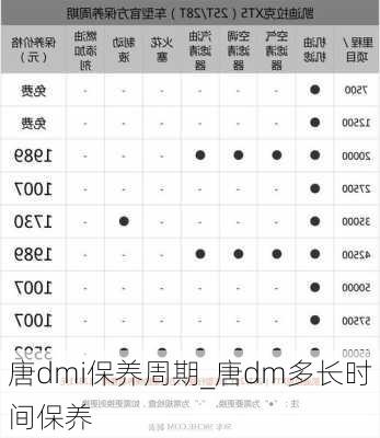 唐dmi保养周期_唐dm多长时间保养