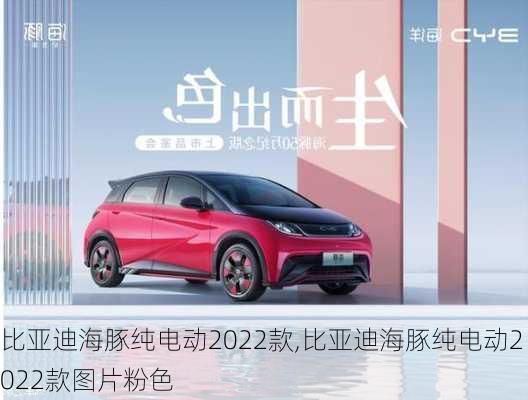 比亚迪海豚纯电动2022款,比亚迪海豚纯电动2022款图片粉色