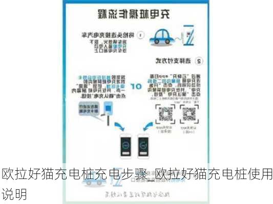 欧拉好猫充电桩充电步骤_欧拉好猫充电桩使用说明