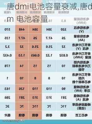 唐dmi电池容量衰减,唐dm 电池容量