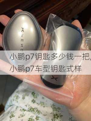 小鹏p7钥匙多少钱一把,小鹏p7车型钥匙式样