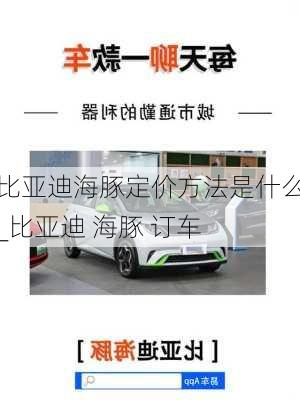 比亚迪海豚定价方法是什么_比亚迪 海豚 订车