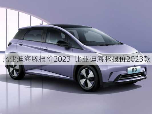 比亚迪海豚报价2023_比亚迪海豚报价2023款