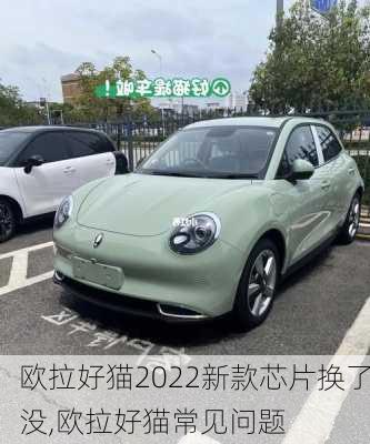 欧拉好猫2022新款芯片换了没,欧拉好猫常见问题