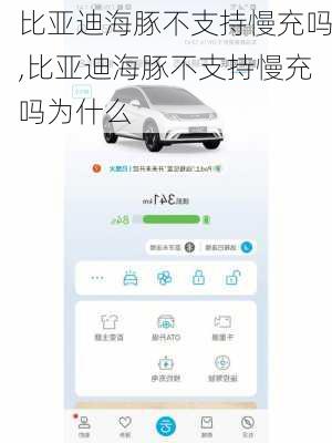 比亚迪海豚不支持慢充吗,比亚迪海豚不支持慢充吗为什么