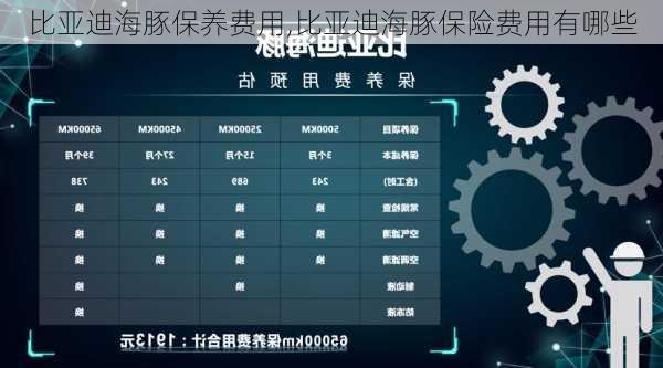 比亚迪海豚保养费用,比亚迪海豚保险费用有哪些